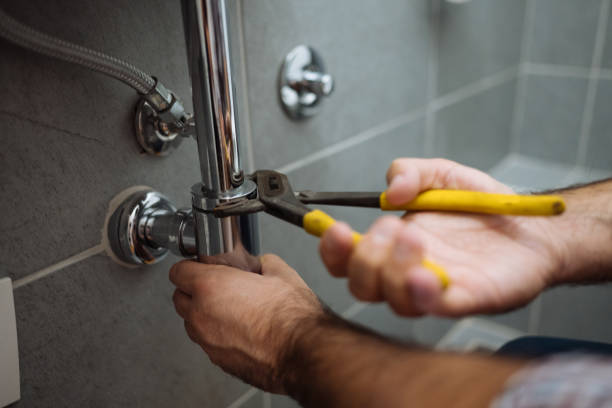 Best Clogged Drain Plumber  in Freeburg, IL