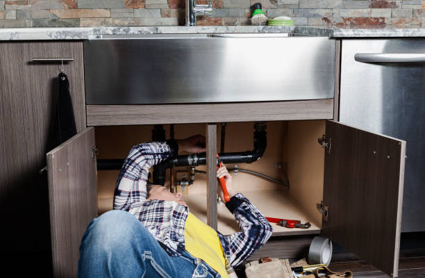 Best Clogged Drain Plumber  in Freeburg, IL