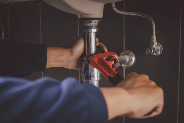 Best Leak Detection Services  in Freeburg, IL